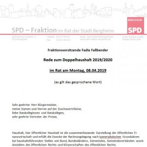 Rede zum Haushalt 2019/2020